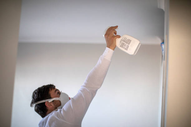 Best White Mold Remediation in Conway, FL